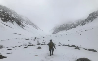 Erzincan beyaza b&uuml;r&uuml;nd&uuml;