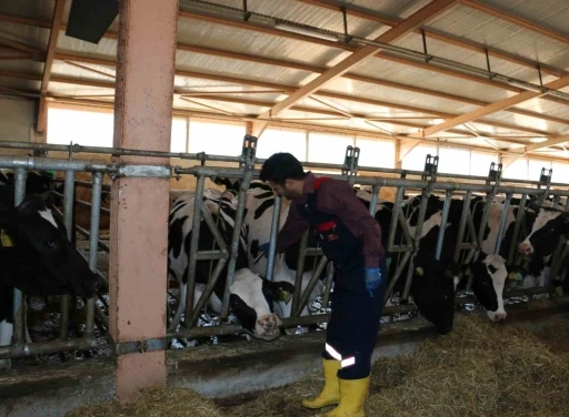 Erzincan&rsquo;da 2024 yılında 1 milyon 170 bin doz aşılama ger&ccedil;ekleştirildi
