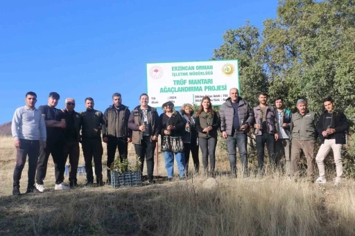 Erzincan&rsquo;da ilk defa tr&uuml;f mantarı ormanı oluşturuldu
