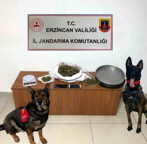 Erzincan&rsquo;da jandarma ekipleri 2024 yılı Aralık ayında meydana gelen olayların y&uuml;zde 98&rsquo;ini aydınlattı
