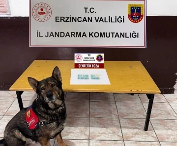 Erzincan&rsquo;da jandarma mıntıkasında Ağustos ayında meydana gelen olayların y&uuml;zde 98&rsquo;i aydınlatıldı
