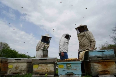 Erzincan&rsquo;da kış uykusundan uyanan arılar yeni sezona hazırlanıyor
