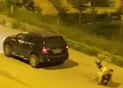 Eşeği otomobilin arkasına bağlayıp s&uuml;r&uuml;kleyerek g&ouml;t&uuml;renlere ceza