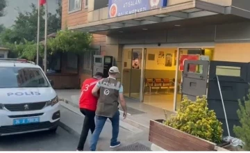 Pitbull kediyi par&ccedil;aladı, sahibi g&ouml;zaltına alındı
