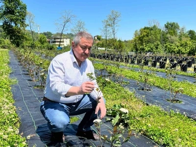 Eski başkanın "şifa bah&ccedil;esi": Siyasi yorgunluğu tıbbi aromatik bitkilerle atıyor
