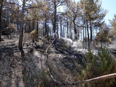 Eskişehir'de &ccedil;ıkıp, Afyonkarahisar'a sı&ccedil;rayan yangın kontrol altında
