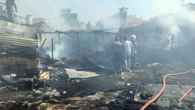 Evde &ccedil;ıkan yangında yaşlı adam hayatını kaybetti