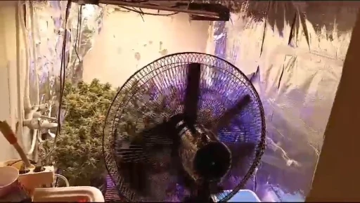 Evin i&ccedil;inde &ouml;zel iklimlendirme sistemiyle uyuşturucu imalatı
