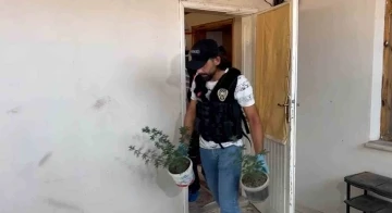 Evinden uyuşturucu d&uuml;zeneği &ccedil;ıkmıştı, tarlasında da Hint keneviri bulundu
