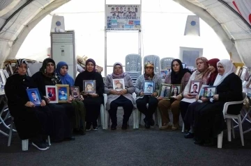 Evlat n&ouml;betindeki Remziye Yenidoğan: "15 yaşında bir &ccedil;ocuk annesini bırakıp dağa gitmez"
