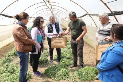 Ey&uuml;psultan Belediyesi&rsquo;nden Sosyal Kalkınma Hamlesi
