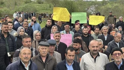 Fabrikaların zehrini kustuğu Gerede &Ccedil;ayı &ouml;l&uuml;yor: K&ouml;yl&uuml;ler ayaklandı