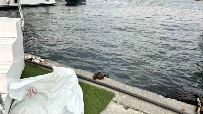 Fatih&rsquo;te denizde erkek cesedi bulundu