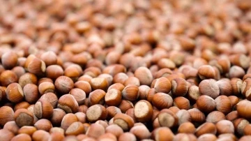 Ferrero Grubu&rsquo;ndan hedeflerine ulaşma noktasında &ouml;nemli ilerleme