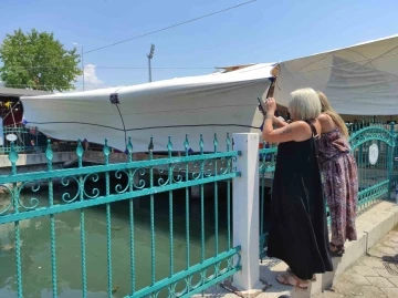 Fethiye&rsquo;de Caretta Carettalar ilgi odağı haline geldi