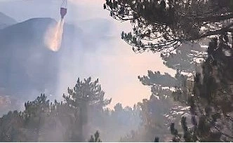 Fethiye&rsquo;deki orman yangını kontrol altına alındı