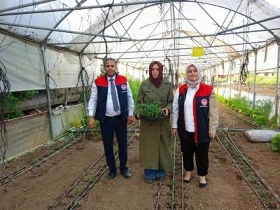 Fide desteği alan kadın &ccedil;ift&ccedil;ilerin seraları incelendi
