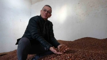 Fındık fiyatındaki dalgalanmadan &uuml;retici de t&uuml;ccar da memnun değil
