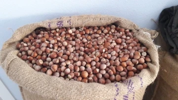 Fındık &uuml;reticileri fiyatların artmasını istiyor
