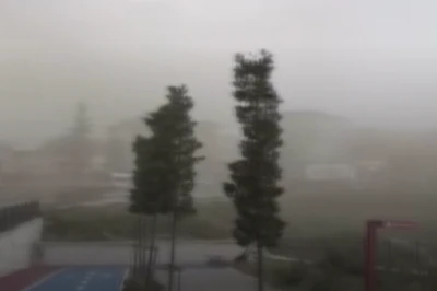 Fırtına etkili oldu, ağa&ccedil;lar devrildi