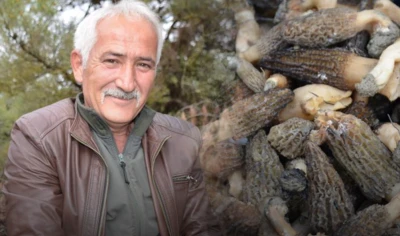 Fiyatı gram altınla yarışıyor