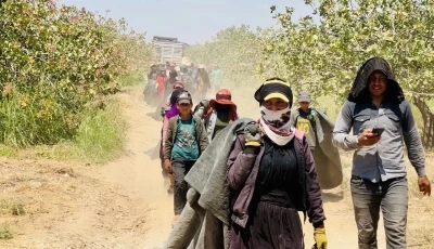 Fiyatı y&uuml;zde 500 artan fıstığın &uuml;reticisinden baklavacılara &ccedil;ağrı