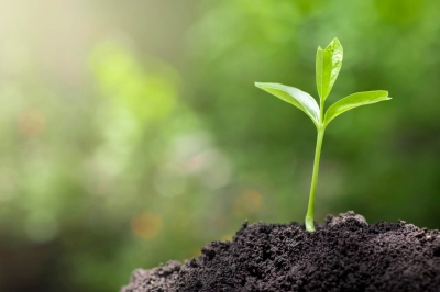 Fuzul&rsquo;den 2025 &Ccedil;alışanı Adına &Ccedil;anakkale ve Şanlıurfa&rsquo;ya 2025 Fidan Bağışı