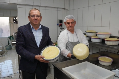 Gastrofest Ayvalık Başlıyor!