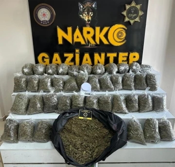 Gaziantep&rsquo;te 56 kilo esrar ele ge&ccedil;irildi
