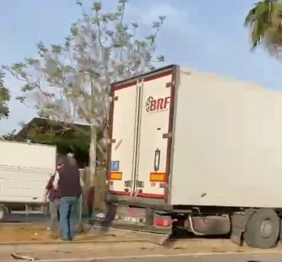 Gazipaşa&rsquo;da sebze y&uuml;kl&uuml; tır ref&uuml;jdeki palmiye ağacına &ccedil;arptı: 1 yaralı
