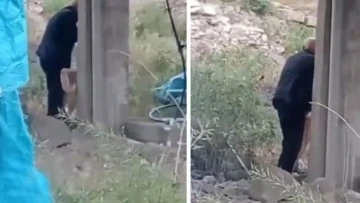 Ge&ccedil;tiğimiz g&uuml;n tavuğa şimdi de k&ouml;peğe cinsel saldırı 