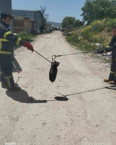 Gediz&rsquo;de baharın gelmesiyle yılanlar g&ouml;r&uuml;lmeye başladı
