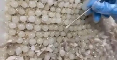 B&ouml;ylesi de g&ouml;r&uuml;lmedi! Gelinliğin &uuml;zerine boncuk şeklinde işlenmiş 25 kilo uyuşturucu ele ge&ccedil;irildi