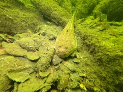 Gemlik&rsquo;in dip temizliği b&uuml;y&uuml;kşehirden