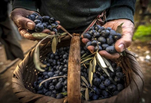 Gemlik&rsquo;in en g&uuml;zel fotoğraflarını belli oldu