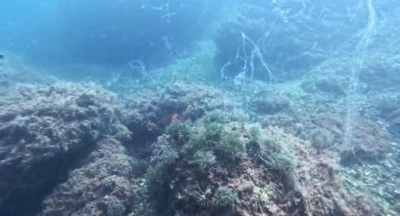 Gemlik K&ouml;rfezi alarm veriyor!