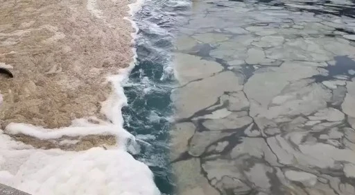 Gemlik K&ouml;rfezi&rsquo;nde m&uuml;silaj kabusu...Balık&ccedil;ılar denize a&ccedil;ılamadı