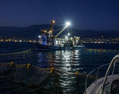 Gemlik K&ouml;rfezi&rsquo;nde sardalya avcılığı başladı
