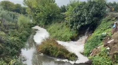 Gemlik K&ouml;rfezi'ni besleyen Karsak Deresi'nde b&uuml;y&uuml;k kirlilik