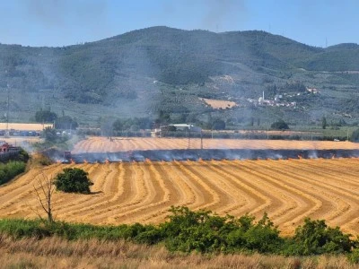 Gemlik Serbest B&ouml;lge yakınında yangın