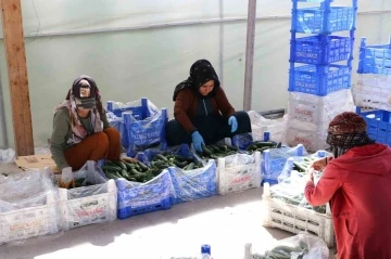 Gen&ccedil; girişimciler Erzincan&rsquo;da tarıma yatırım yapıyor
