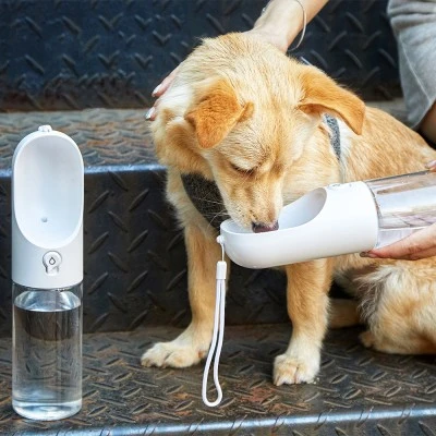  Gen&ccedil;lerin y&uuml;zde 57&rsquo;si birden fazla patili dostla yaşıyor