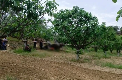 Germencik&rsquo;te devrilen trakt&ouml;r&uuml;n altında kalan şahıs hayatını kaybetti
