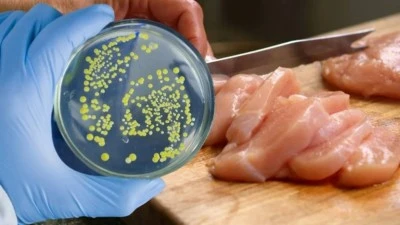 Gıdada salmonella şoku! 