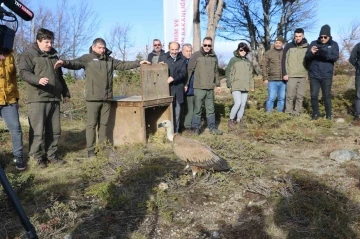 G&ouml;&ccedil; yolculuğu yarım kalan Kızıl Akbaba Uludağ&rsquo;ın zirvesinden doğaya salındı