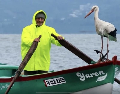 G&ouml;&ccedil;ten 15'nci kez gelen Yaren leylek baba oldu