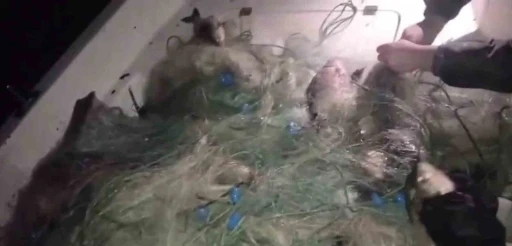 G&ouml;kpınar Barajına bırakılan ka&ccedil;ak ağlar toparlanıyor
