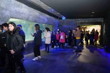 G&ouml;lbaşı Belediyesi &ouml;ğrencileri akvaryuma g&ouml;t&uuml;rd&uuml;
