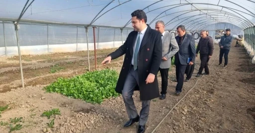 G&ouml;lbaşı&rsquo;nda &uuml;reticilere y&uuml;zde 70 hibeli sera desteği
