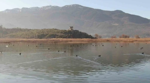 G&ouml;ller Y&ouml;resi&rsquo;ndeki su kuşu sayımları ekosistem değişimlerini aydınlatıyor
